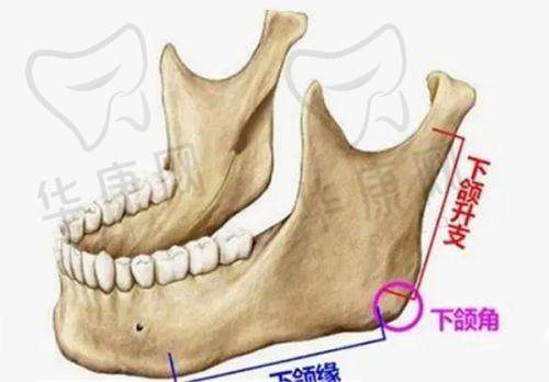 医院经验对膨体隆鼻修复价格的影响