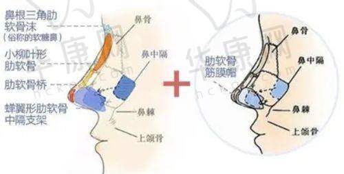 成都高新华生铂悦医疗美容全方面部脂肪胶16800元起：性价比之选