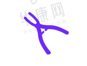 上海口腔较好的3家医院竟然是这几家，技术、价格、医生全方位解析助选种植牙医院