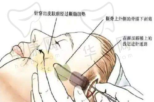 成都怡脂医疗美容医院的资质正规性