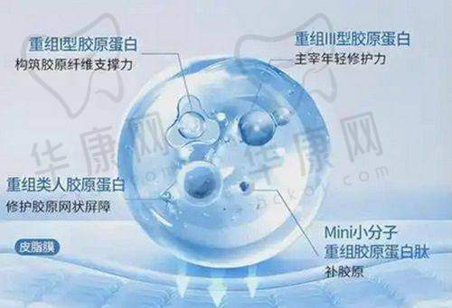 南宁爱思特整形外科医院王楷医生特色技术优势