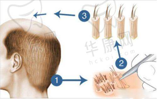 辽宁杏林整形外科医院的资质优势