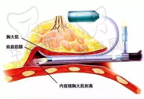 重庆美仑美奂整形美容医院的价格与服务