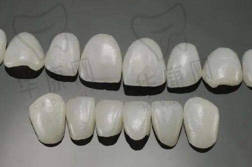 不同项目具体收费情况