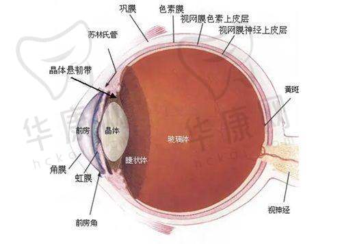 无锡华厦眼科医院的正规资质