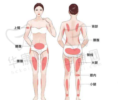 林秀莲医生擅长项目