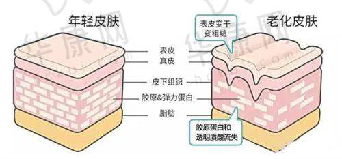 身边人的反馈