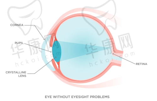 北京同仁眼科医院急诊绿色通道:如何快速就诊?