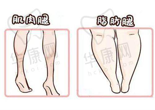 正畸项目情况