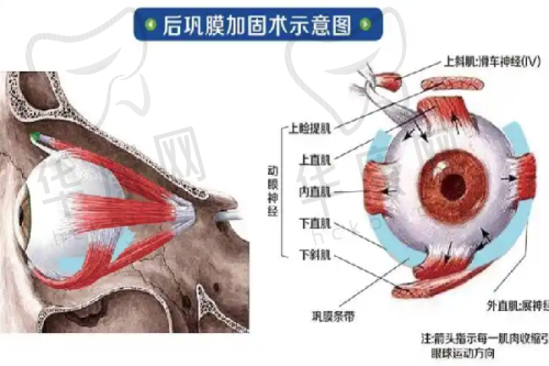 深圳美莱医院附近有哪些地铁站?