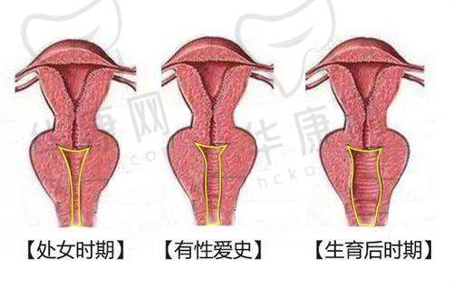 深圳联合丽格
