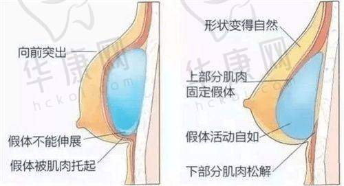 医生介绍：成都军大整形外科医院的非凡医疗团队
