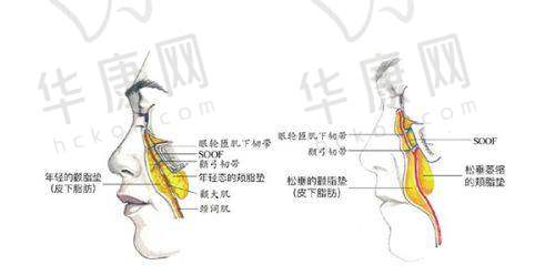 华美整形美容医院电话号码 - 24小时在线咨询电话揭晓，各分院地址及优势全知道