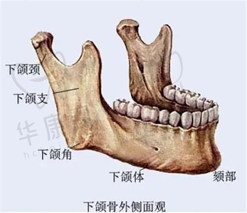 如何选择适合自己的深圳国有医院整形科?