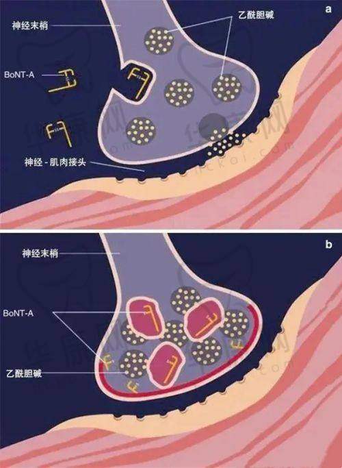 福州鼓楼名韩医疗美容温名赟医生的口碑评价