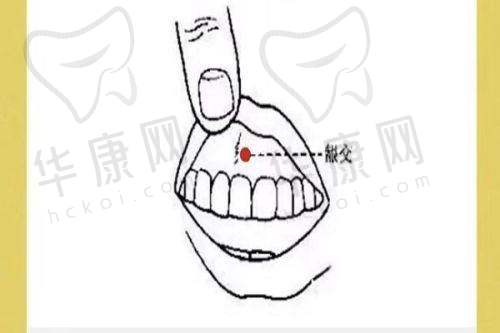 东莞东城紫芯医疗美容门诊部的医生团队