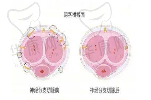 泉州丰泽脂管加医疗美容门诊部的特色项目