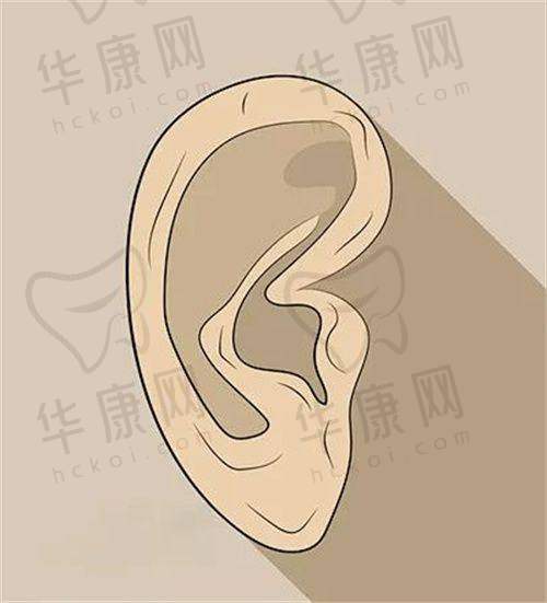 总结及联系方式