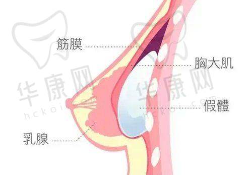 深圳美莱医疗美容医院徐占锋预约方式