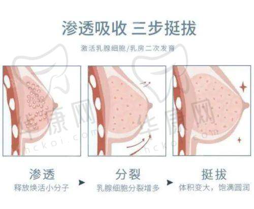 杭州天鑫整形的医生团队实力