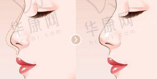泰州丽都的特色项目及技术
