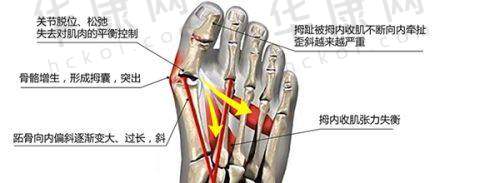口碑评价与个人感受