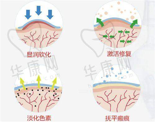 保定珍润医疗美容门诊部预约挂号流程：