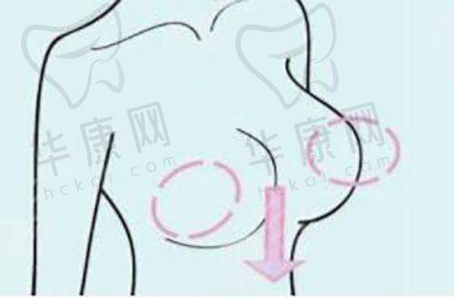 朱星蓉医生资质信息
