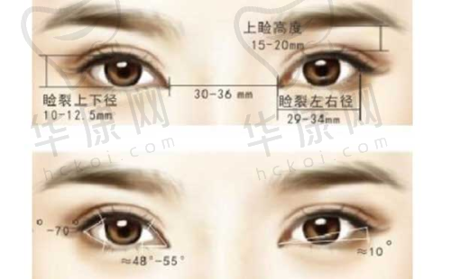 双眼皮与隆鼻能手:徐海燕