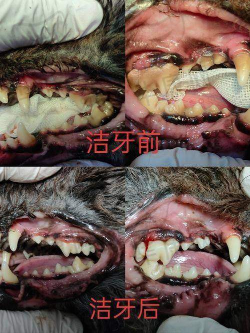 宜春袁州施美尔口腔医生在超声波洁牙方面的特色优势
