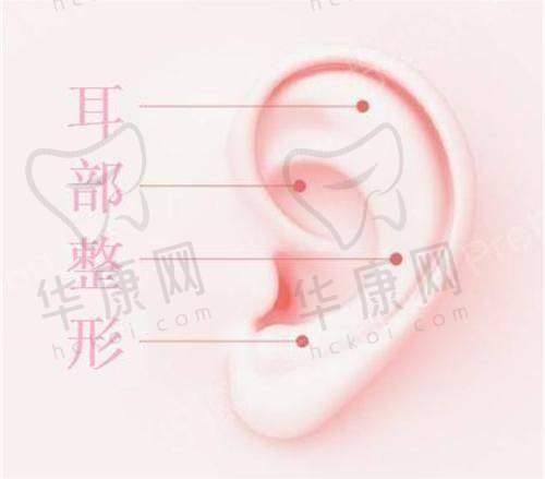 杜园园医生作为金刀奖评委，技术密码是什么？