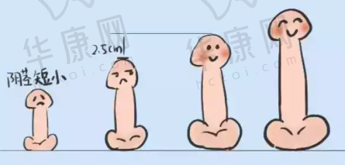 深圳景田医院地址电话：