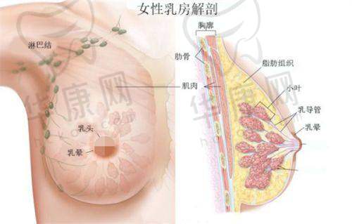 东莞壹加医疗美容医院的价格与服务
