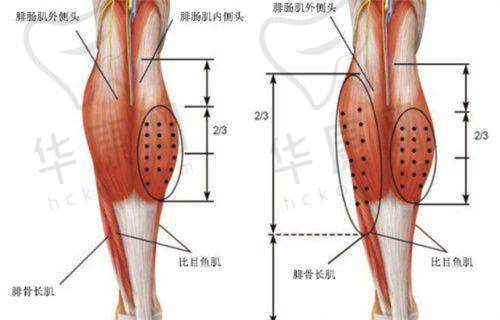 重 医附一院激光美容科有哪些荣誉资质?