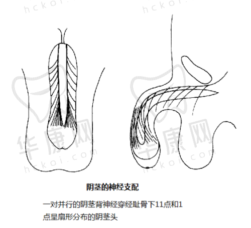 谭立文医生做鼻子的技术好不好？