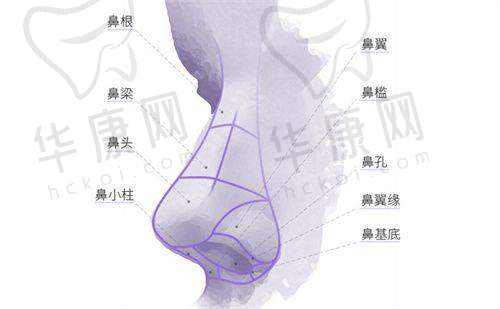 成都达芬奇医疗美容医院李辉医生特色技术优势