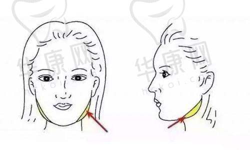 淮安华美整形外科门诊部预约挂号流程：