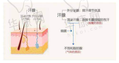 王建宇医生的专精背景与经验