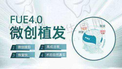 重庆艺星的运营模式与服务特色