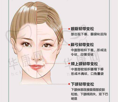 杨永胜医生资质信息