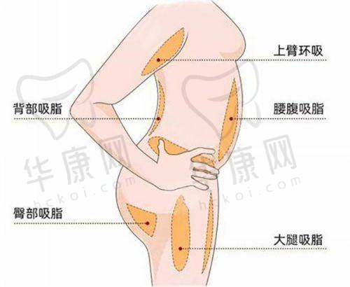 王俊河医生擅长项目