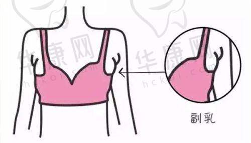 为什么侧睡时间因人而异？