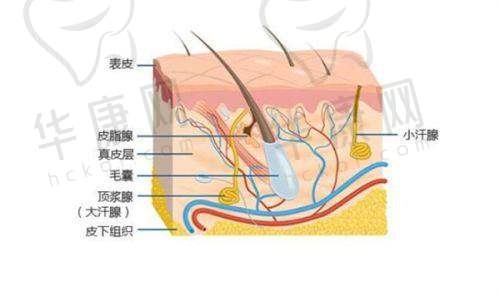 北京广济医院疤痕科基本资料