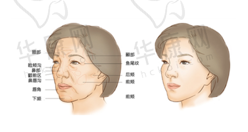 黑龙江瑞丽医疗美容医院段兴超医生资质信息
