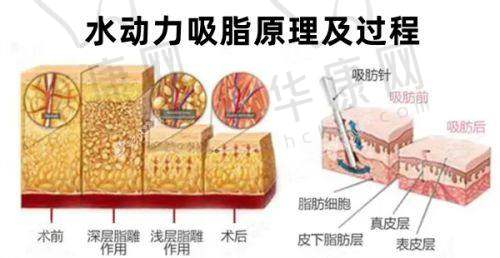 张照日医生预约方式