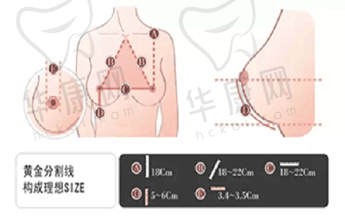 手术过程：信任与安心同在