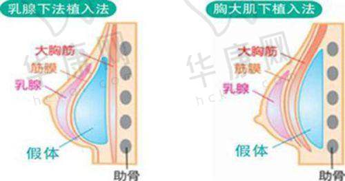 济南诺德医疗美容医院王克华医生资质信息