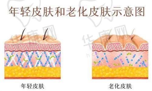 北京雅韵医疗美容门诊部地址电话