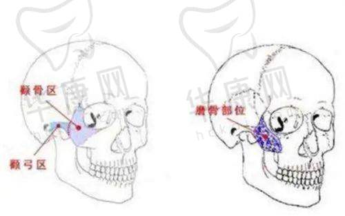 隋冰医生资质信息