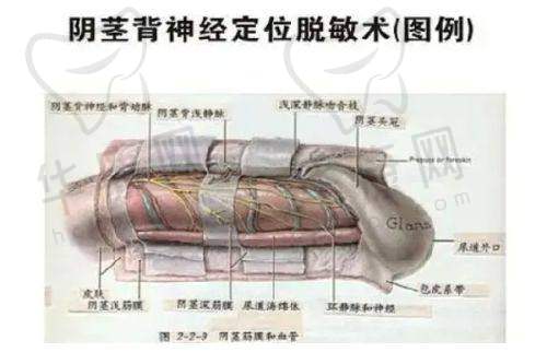 上海仁爱医院医疗美容整形科患者评价